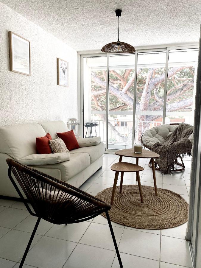 Superbe Appartement Cosy Vue Mer Pieds Dans L'Eau Кавалере-сюр-Мер Екстериор снимка